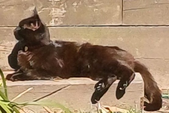 Toaster looking curious