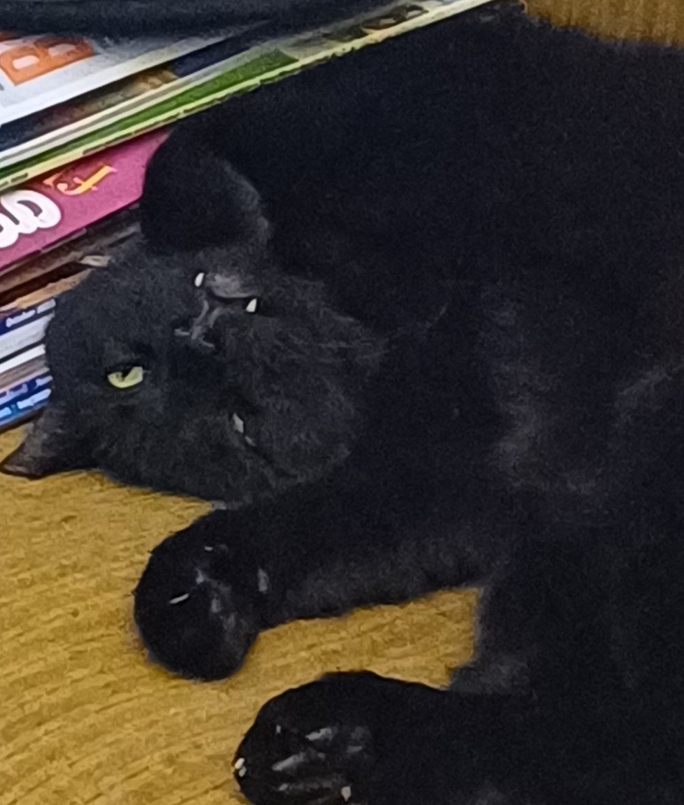 Toaster in the shadows